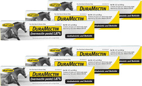 Durvet Duramectin Paste Broad-Spectrum Equine Dewormer - 1.87% Ivermectin, 6.08g Syringe, 6 Count