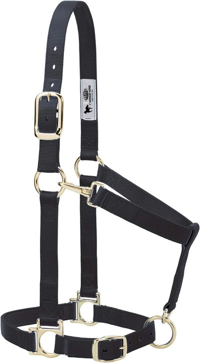 Weaver Leather Padded Nylon Horse Halter - Adjustable Large Comfort Halter with Snap Closures
