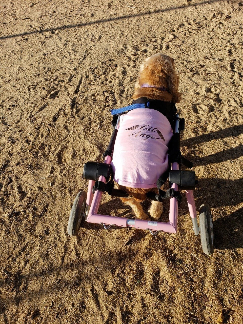 Parisian Pet I Love My Mommy Embroidered Tshirt - Hooves and Paws