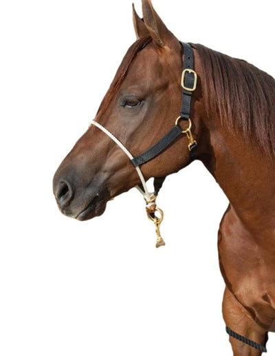 Professional's Choice Nylon Rope Nose Training Halter