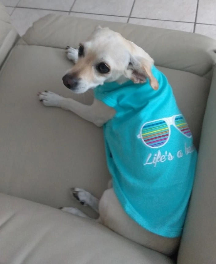 Parisian Pet Peace Love Embroidered Tshirt - Hooves and Paws