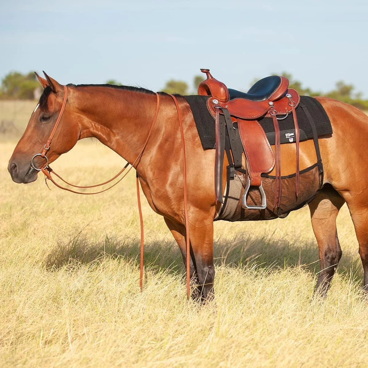 Brown horse with a saddle in a grassy field