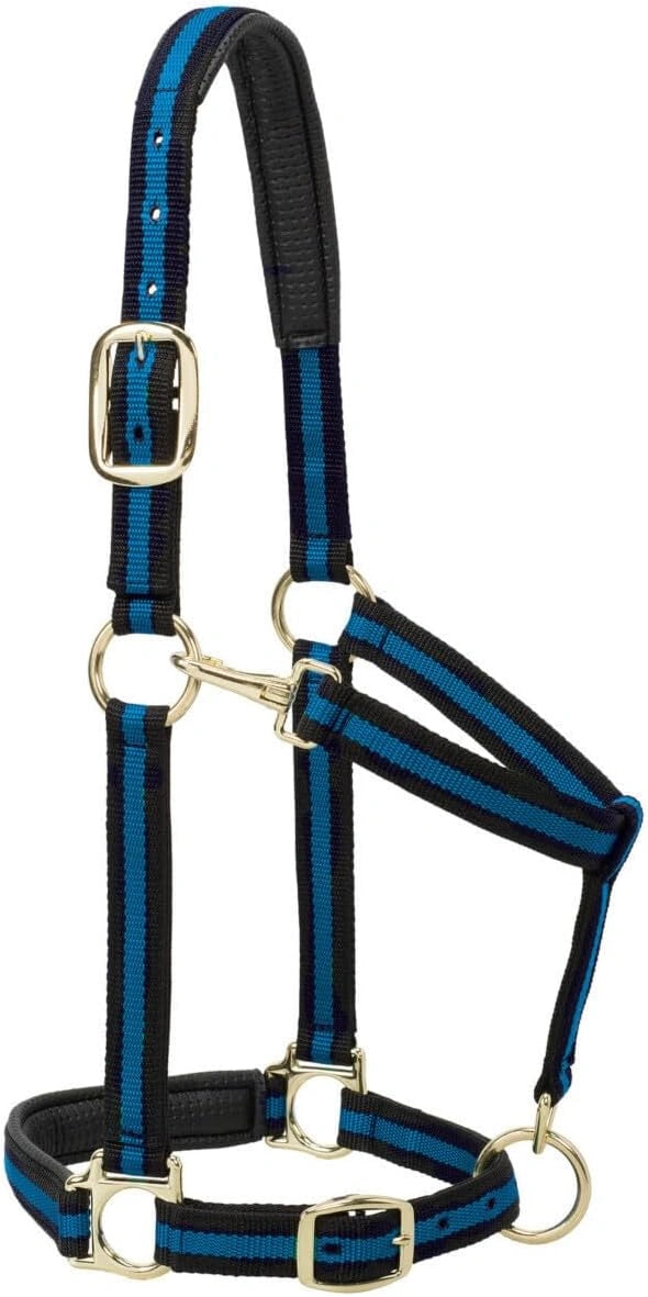 Weaver Leather Padded Nylon Halter – Triple-Adjust Comfort Fit