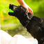 Weaver Leather Terrain D.O.G. Brahma Webb Dog Collar - Weather Resistant & Quick Drying