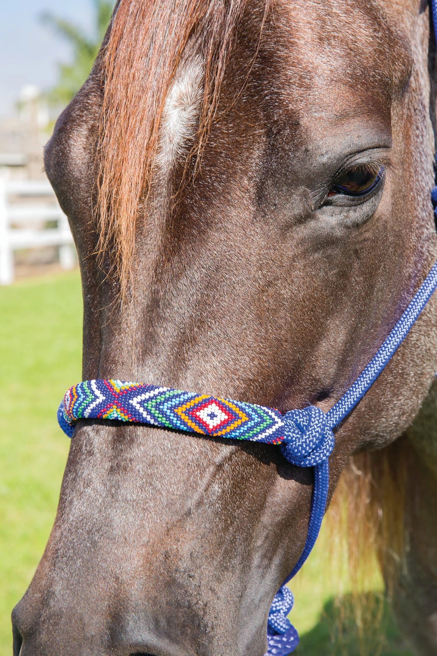 Professional's Choice Beaded Rope Halter | Intricate Beadwork on The Noseband | 7 Foot Matching Lead - Hooves and Paws