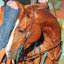 Martin Saddlery Single Ear Headstall - Copper Patina Turquoise