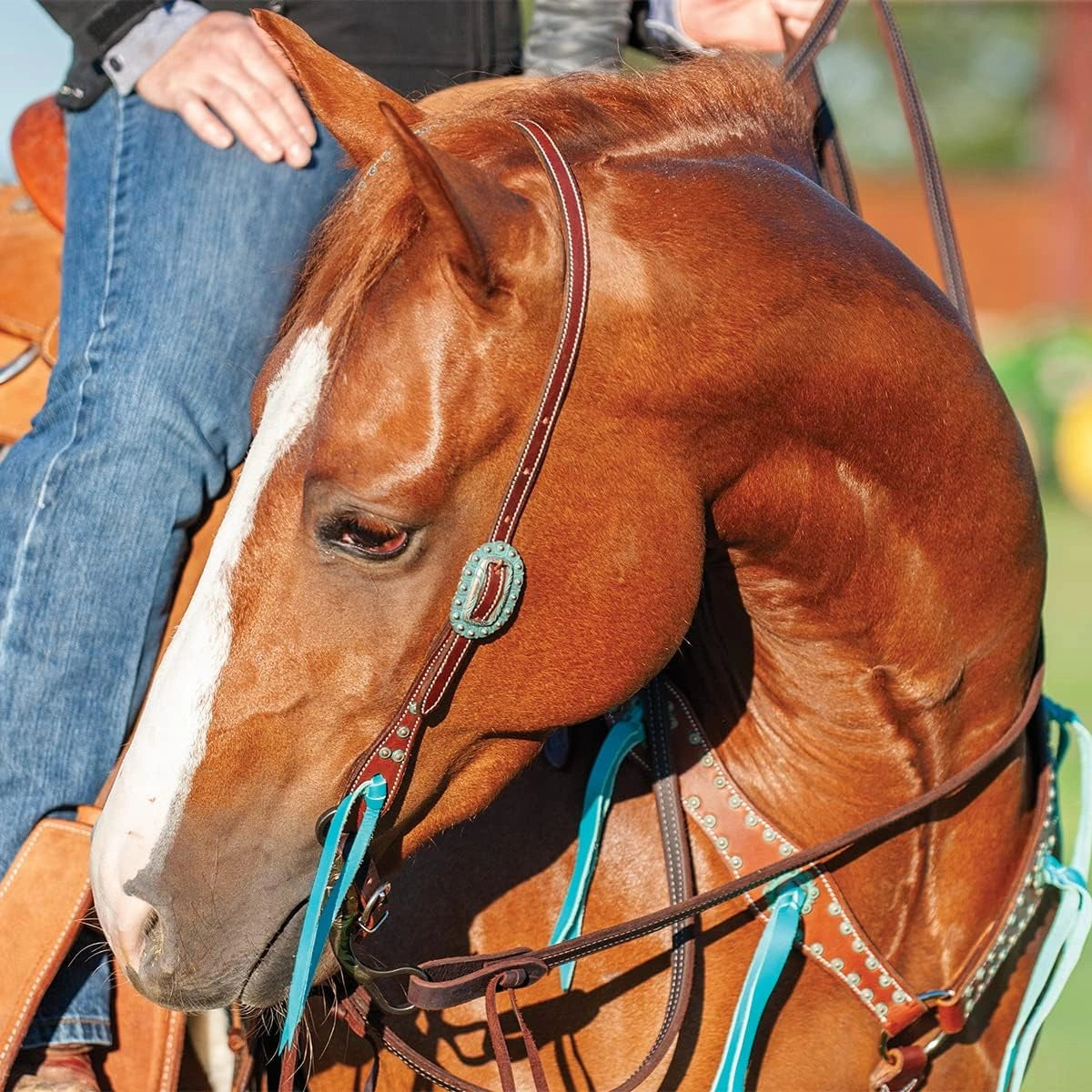 Martin Saddlery Single Ear Headstall - Copper Patina Turquoise