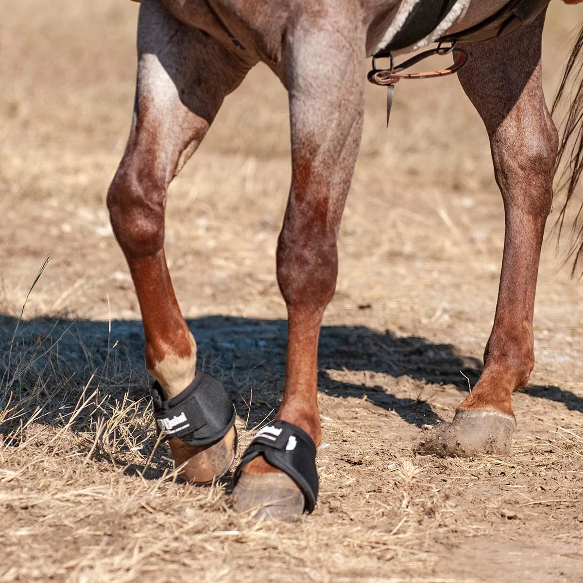 Cashel NO Turn Bell Boots Black - Hooves and Paws