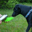 LoveWally Outdoor Adventure Gear 25oz Dog Water Bottle Travel Bowl - Hooves and Paws