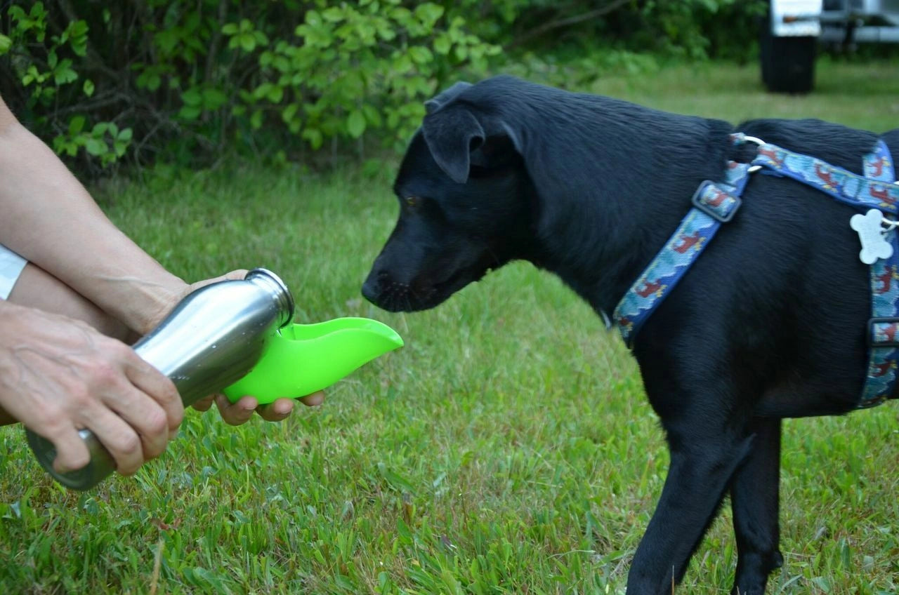 LoveWally Outdoor Adventure Gear 25oz Dog Water Bottle Travel Bowl - Hooves and Paws