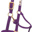 Weaver Leather Adjustable Nylon Foal & Arabian Halter - 3/4" Width