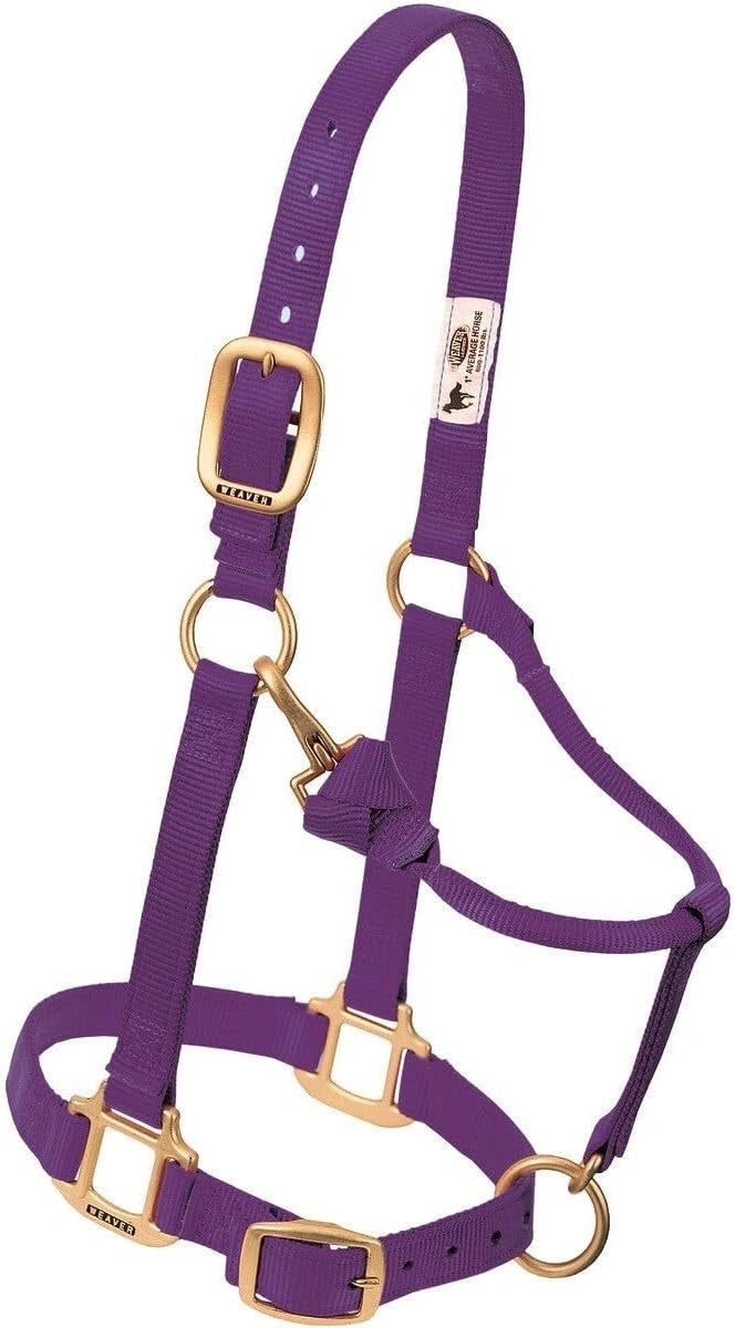 Weaver Leather Adjustable Nylon Foal & Arabian Halter - 3/4" Width