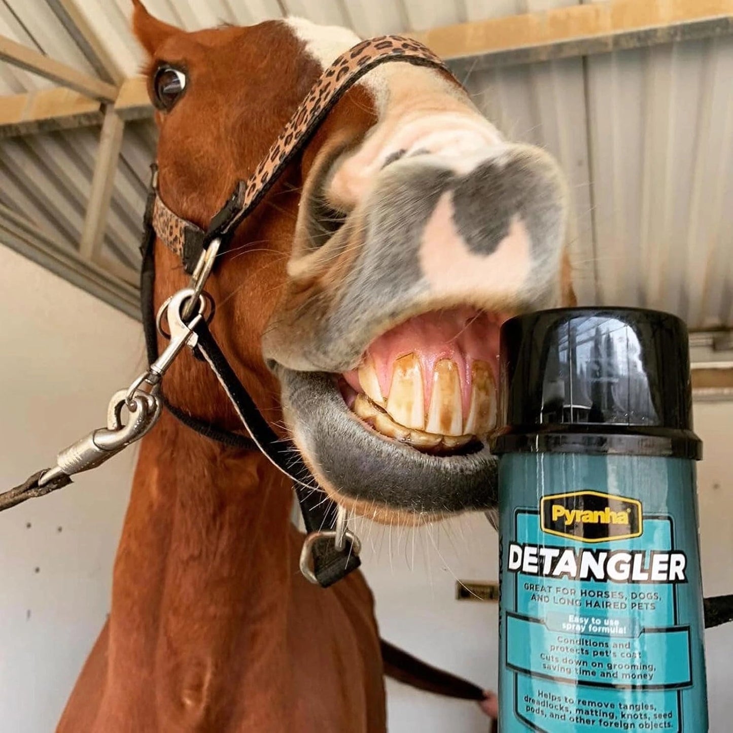 Pyranha Detangler Spray for Horses & Pets - Professional Conditioning & Shine - 10 oz Aerosol