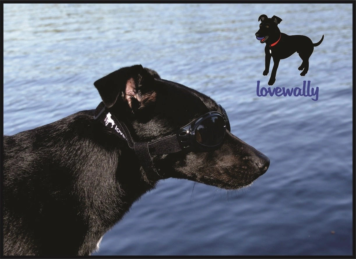 LoveWally Dog Goggles Sunglasses Outdoor Adventure Gear - Hooves and Paws