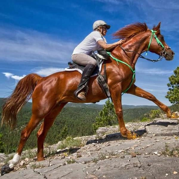 Troxel Low Profile Western Safety Riding Helmet Dakota - Hooves and Paws