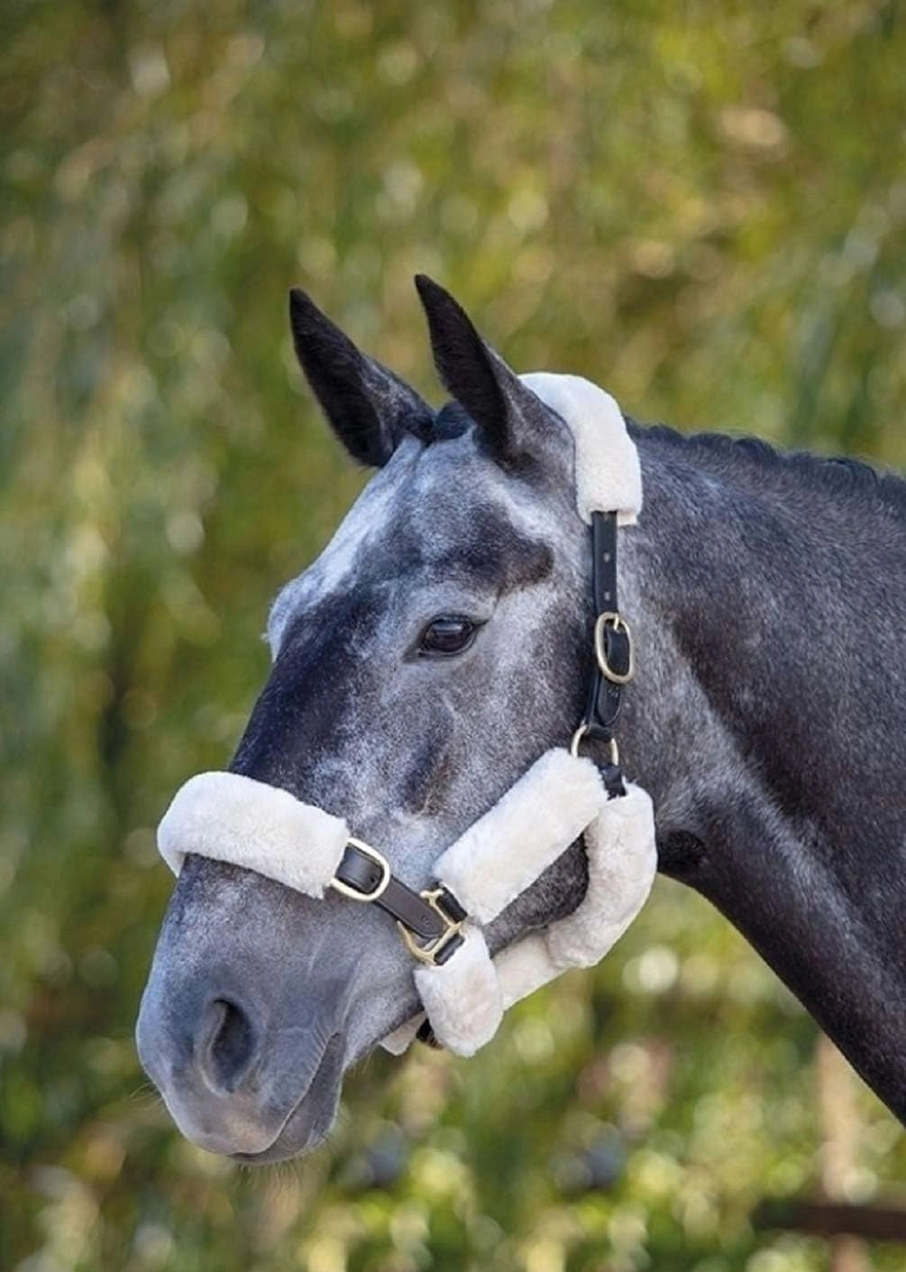 Shires ARMA SupaFleece Halter Set 88507 - Hooves and Paws