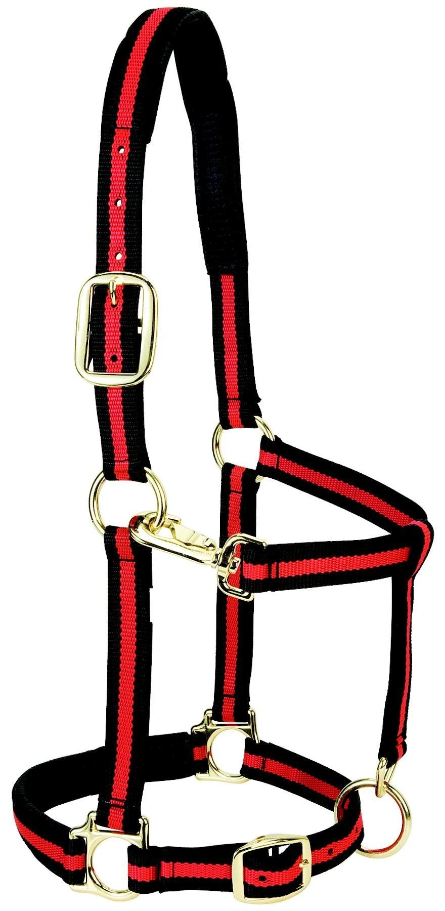 Weaver Equine Horse Halter: Comfort, Durability & Perfect Fit for Your Horse