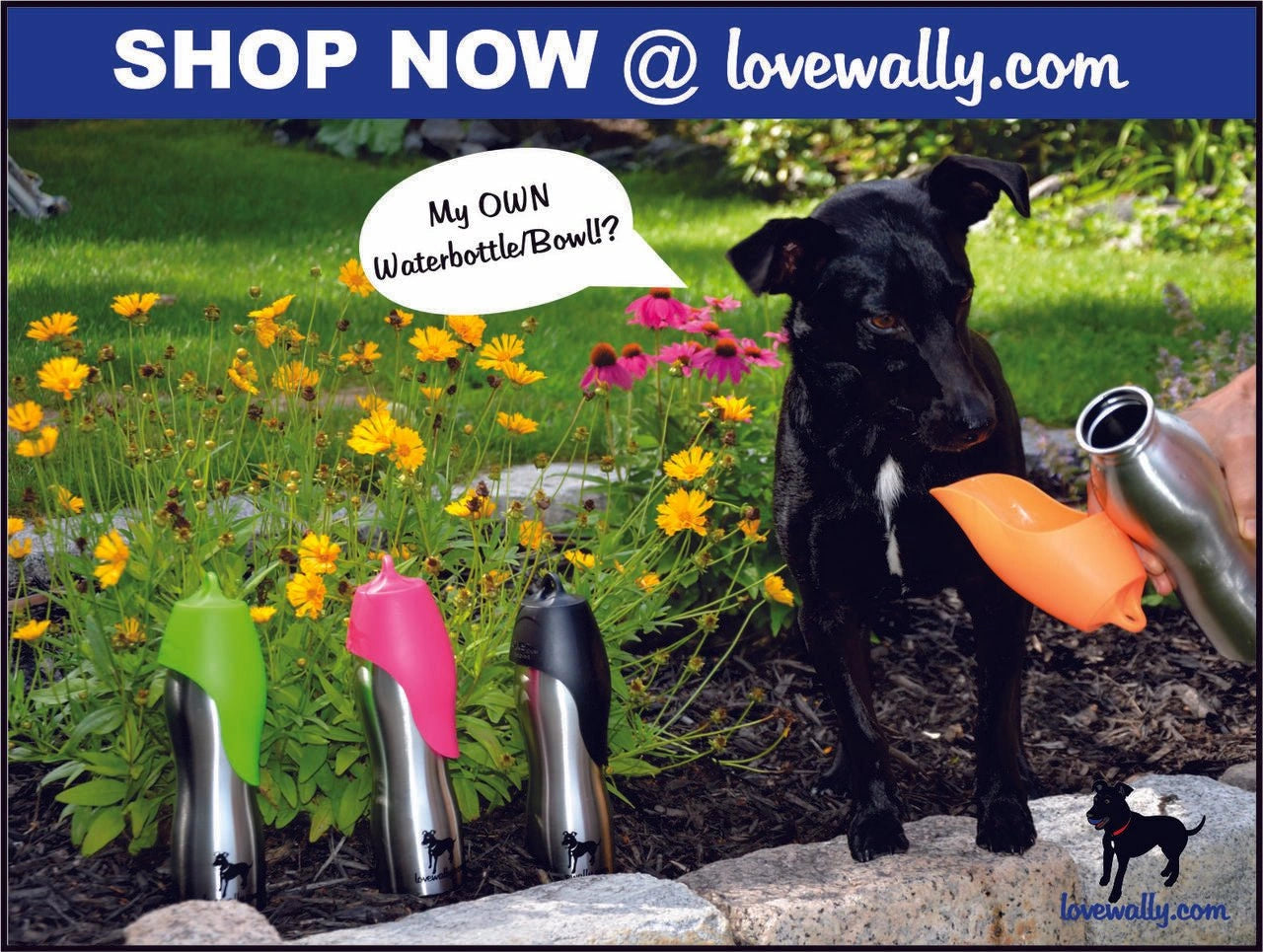 LoveWally Outdoor Adventure Gear 25oz Dog Water Bottle Travel Bowl - Hooves and Paws