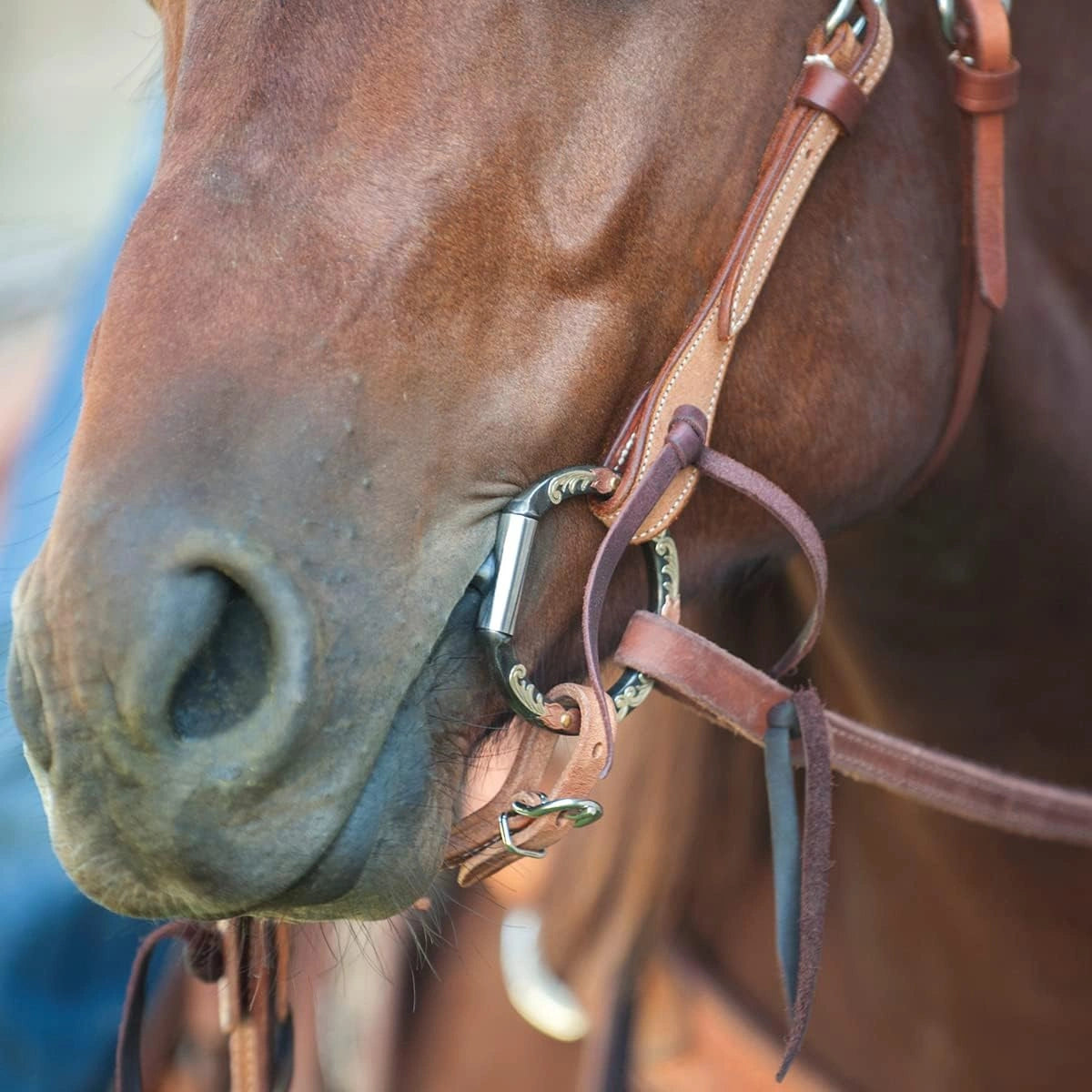 Classic Equine Floral Scroll D-Ring Bit - Thin Smooth Bar Snaffle