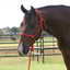 Professional's Choice Equisential Rope Halter with 8' Matching Lead - Durable Nylon Horse Halter