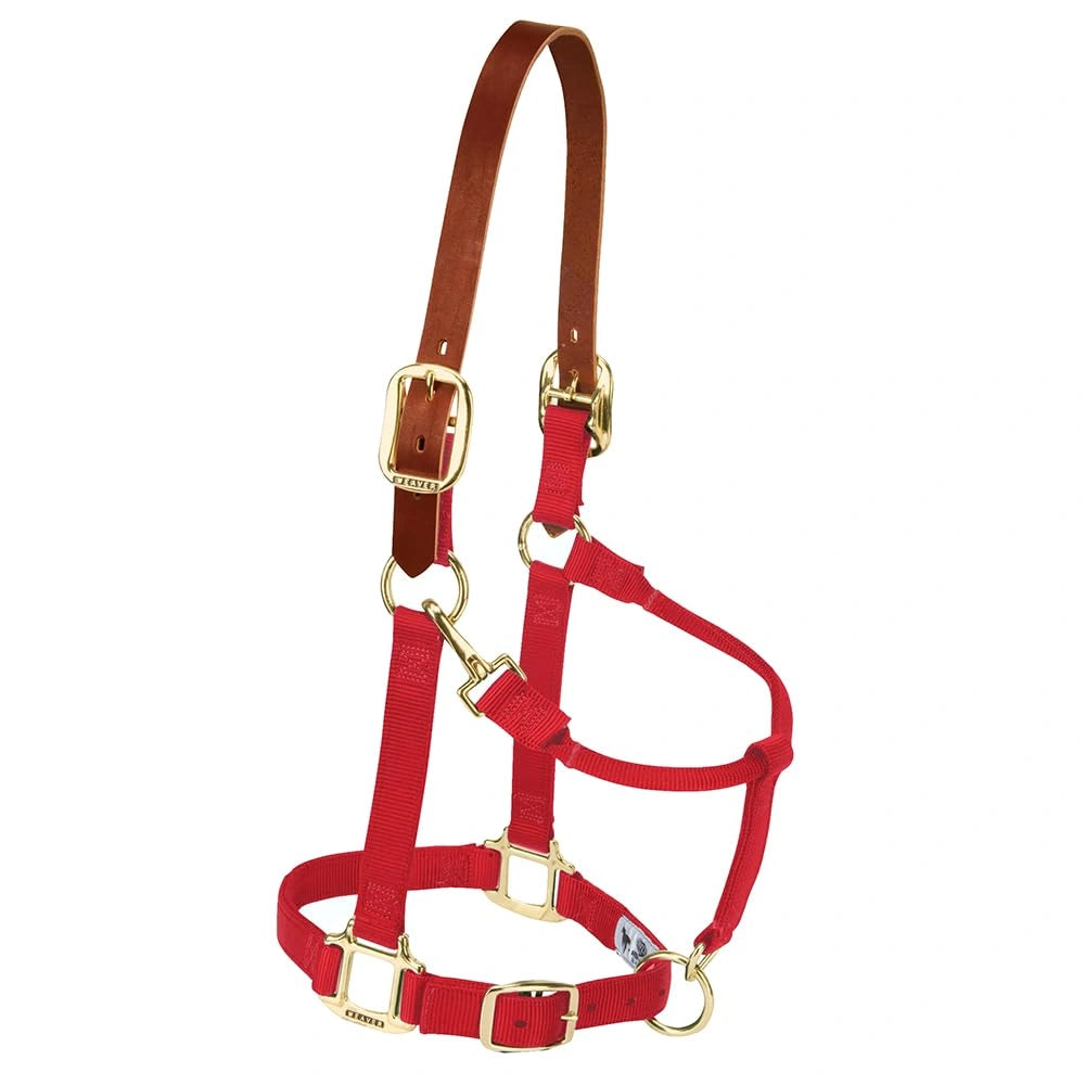 Weaver Equine Horse Halter: Comfort, Durability & Perfect Fit for Your Horse