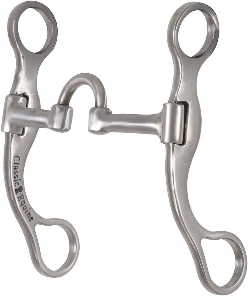 Stainless steel horse bridle bit on a white background