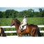 Troxel Sport 2.0 Horse Riding Western Helmet Low Profile Colors - Black or White - Hooves and Paws
