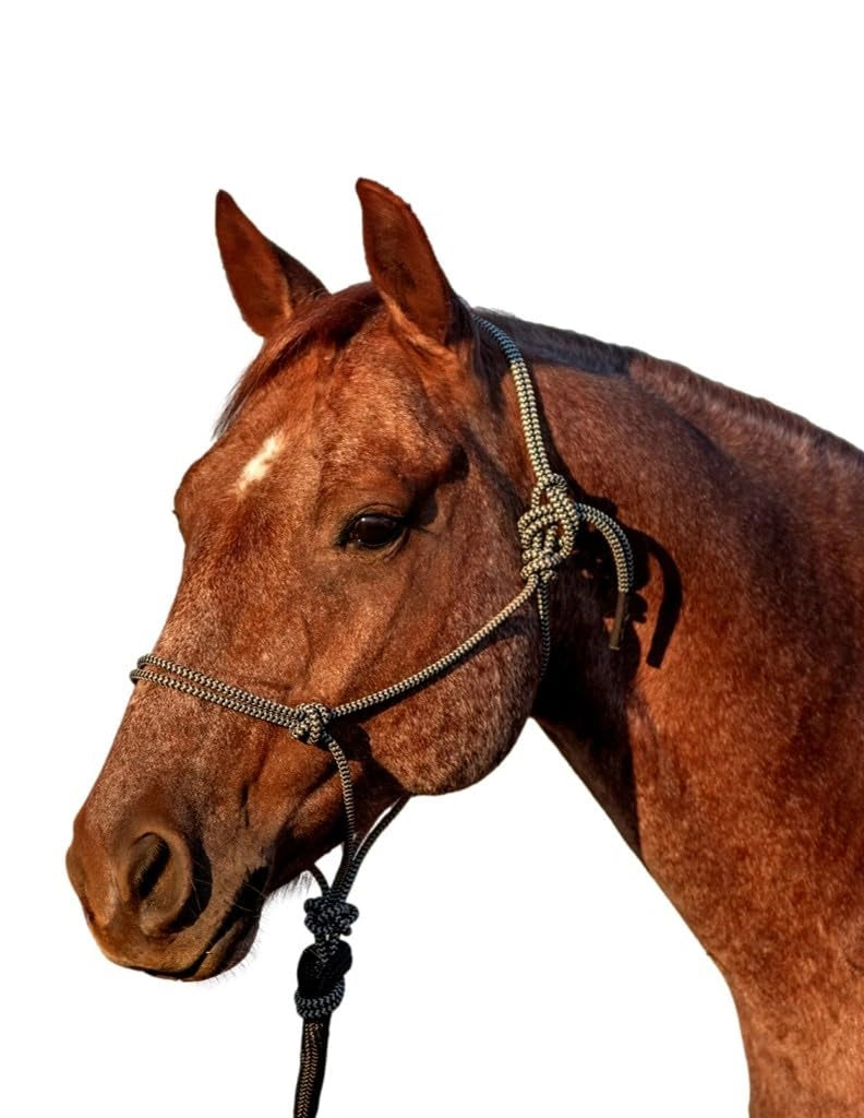 Classic Equine Rope Halter with 9ft Lead - Hardware-Free Nylon