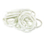 White rubber bands on a white background