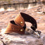Classic Equine Performance Band Spurs - Stainless Steel - 5/8in Band, 1in Shank (Pair)