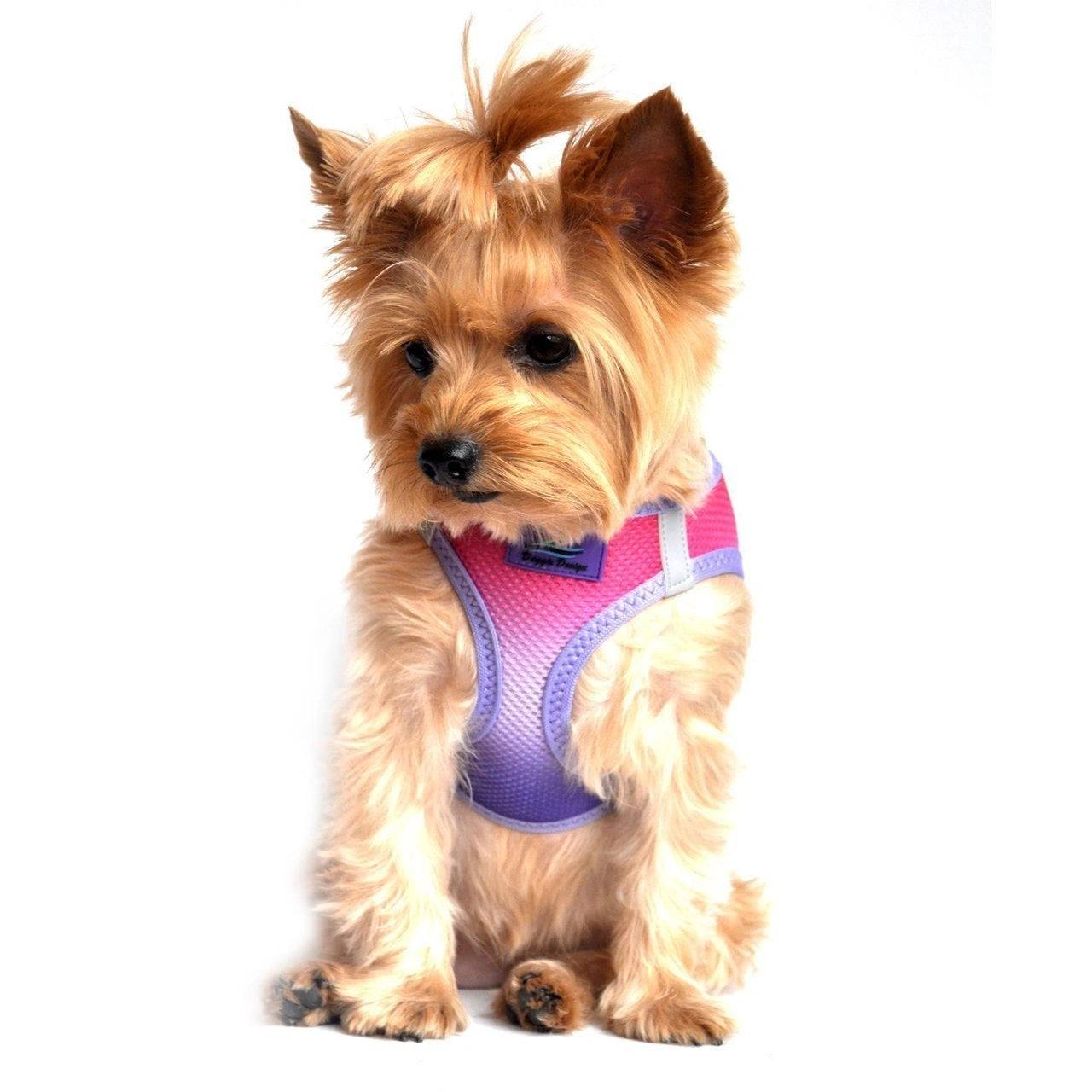 Doggie Design American River Dog Harness Ombre Collection - Hooves and Paws