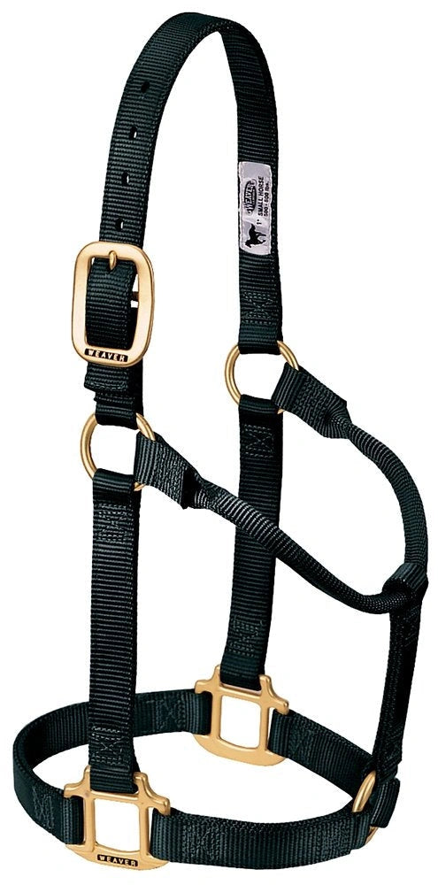Weaver Equine Horse Halter: Comfort, Durability & Perfect Fit for Your Horse