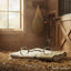 Myler MB 06 Snaffle Bit, a silver-colored metal horse bit, rests on a folded cream and green horse blanket on a hay-covered floor in a sunlit, rustic stable. A window, hay net, and saddle are visible in the blurred background.
