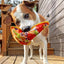 Doggijuana Refillable Premium Organic USA Catnip Dog Toy Naturally Calming - Hooves and Paws