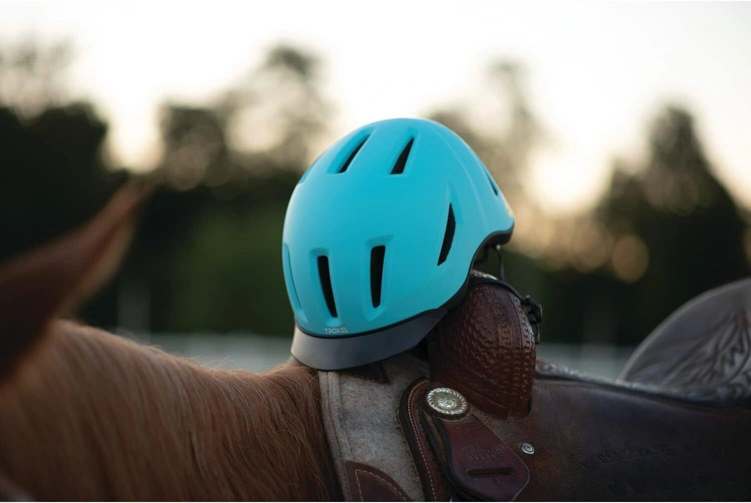 Troxel Riding Helmet Terrain MIPS Horse Safety Low Profile Equine - Hooves and Paws