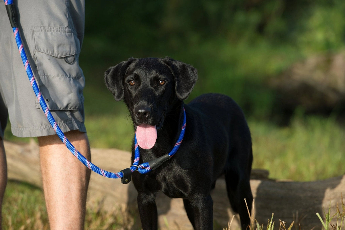 Terrain D.O.G. Rope Slip Lead - Hooves and Paws
