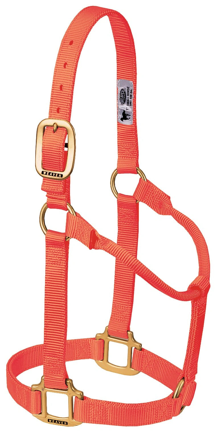 Weaver Equine Horse Halter: Comfort, Durability & Perfect Fit for Your Horse