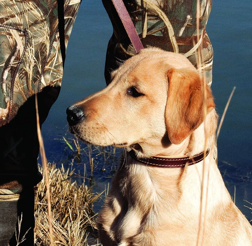 Weaver Leather Deer Ridge Collar - Brown: Durable & Comfortable