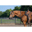 Weaver Leather Black Latigo Headstall - Doubled & Stitched with Water Tie Ends, Made in USA