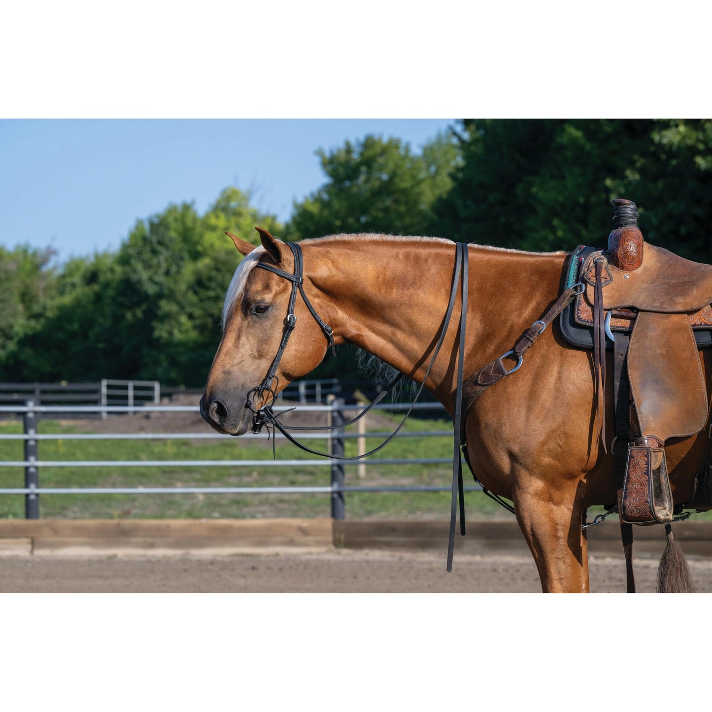 Weaver Leather Black Latigo Headstall - Doubled & Stitched with Water Tie Ends, Made in USA