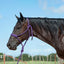 Cashel Flat Braid Halter and Lead rope HTR - BMTH - Hooves and Paws