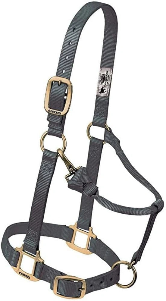 Weaver Leather Horse Halter: Adjustable Nylon for Comfort & Durability