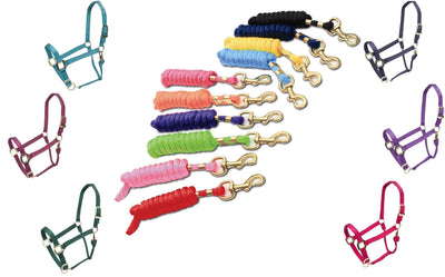 Shires ARMA Horse Halter & Lead Rope Bundle: Adjustable, Durable, and Comfortable