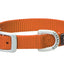 Weaver Leather Nylon Single - Ply Dog Collar - Hooves and Paws