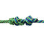 Professionals Choice Halter Rope with 10' Lead - Hooves and Paws