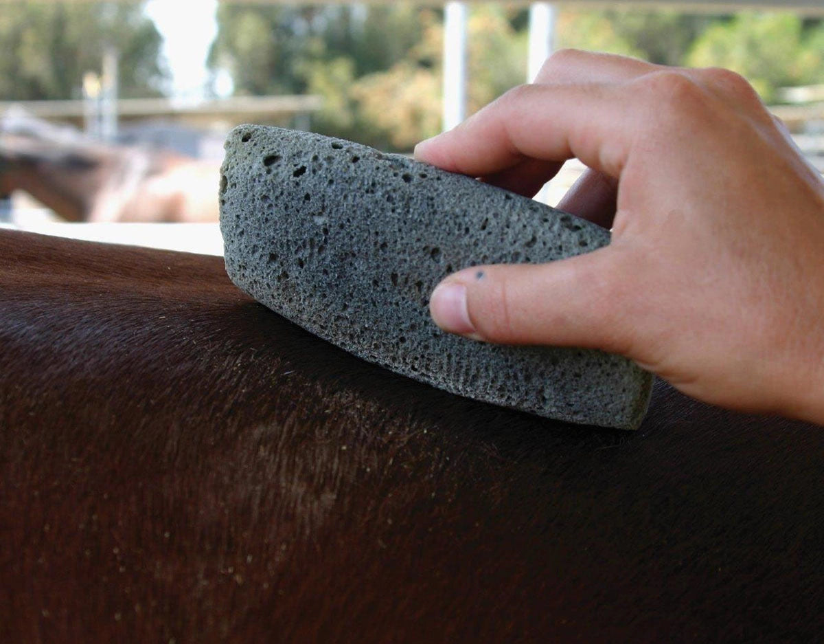 Professionals Choice Groomer's Stone