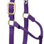 Weaver Equine Horse Halter: Comfort, Durability & Perfect Fit for Your Horse