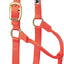 Weaver Equine Horse Halter: Comfort, Durability & Perfect Fit for Your Horse