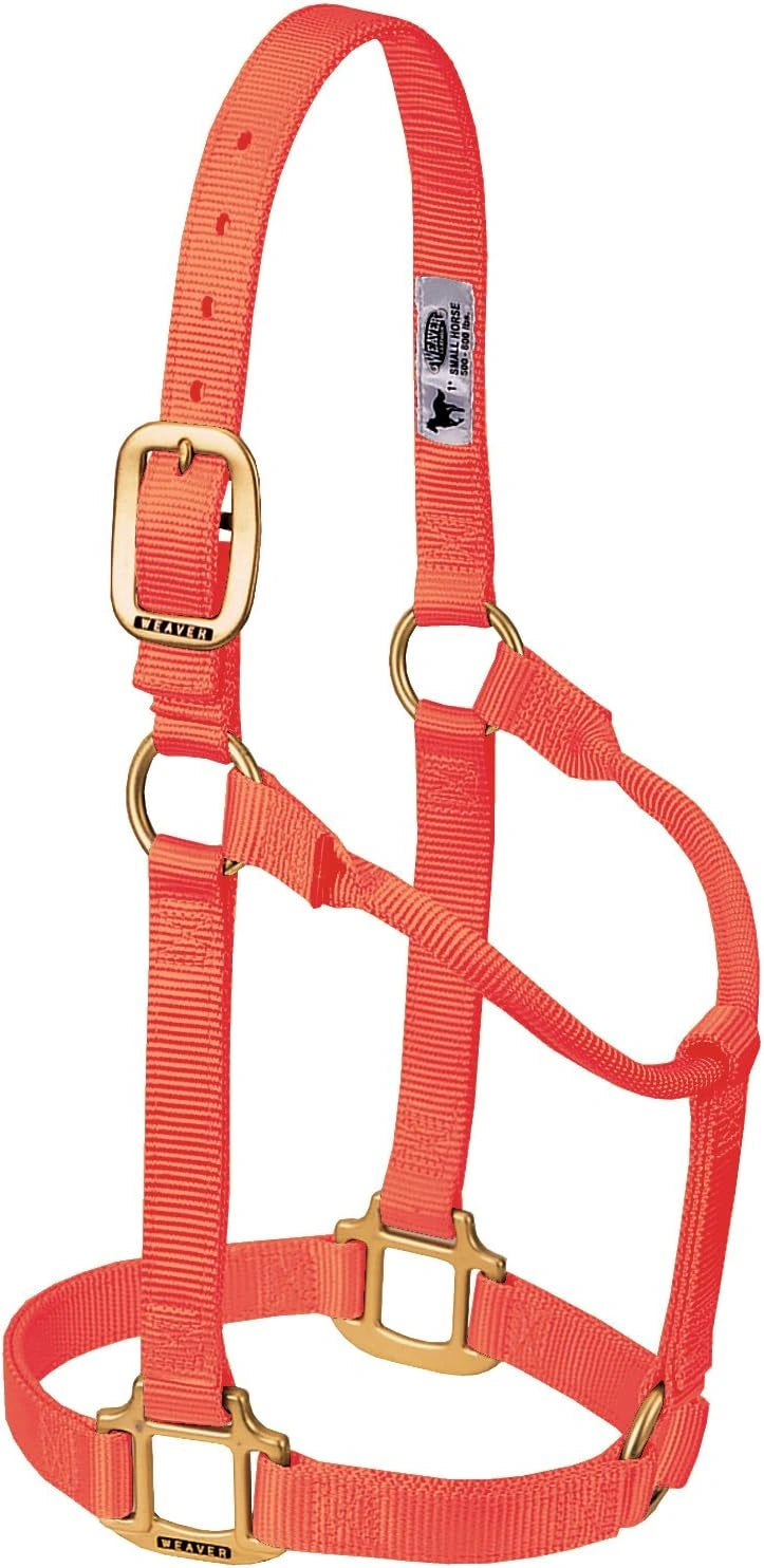 Weaver Equine Horse Halter: Comfort, Durability & Perfect Fit for Your Horse