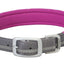 Weaver Leather Reflective Neoprene Lined Dog Collar (Sell out) - Hooves and Paws
